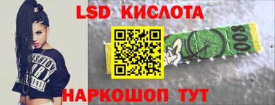 шишки Лесосибирск
