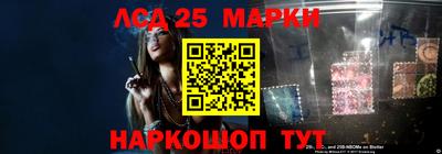 шишки Лесосибирск