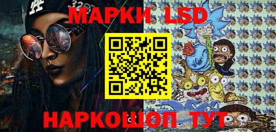 шишки Лесосибирск