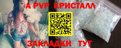 шишки Лесосибирск
